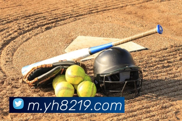 未来规划